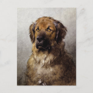 Chef för en Leonberger Hund Painting Vykort
