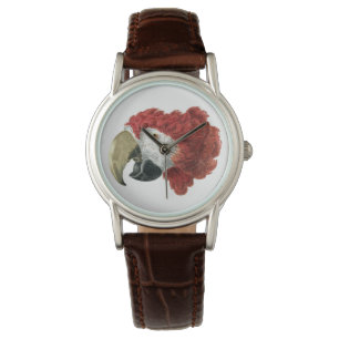 Chef för en Macaw (1725-1792) Aert Schouman Armbandsur