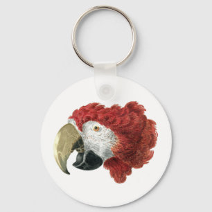 Chef för en Macaw (1725-1792) Aert Schouman Nyckelring