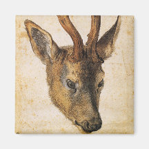 Chef för en Vild (av Albrecht Durer)