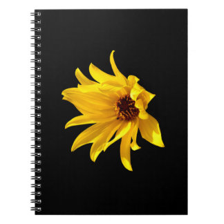 Chef för gult daisy Helenium Spiral Notebook Anteckningsbok