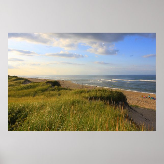 Chef för Meadow Beach Truro Cape Cod Poster (Framsidan)