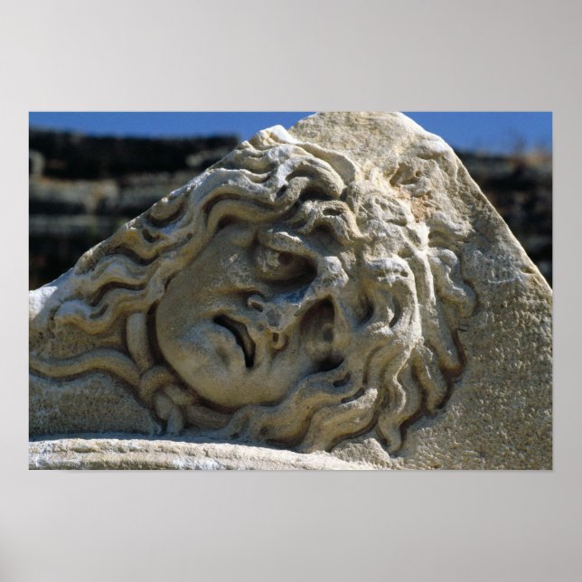 Chef för Medusa Poster (Framsidan)