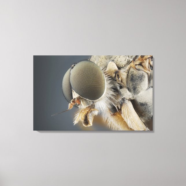 Chef för Snipe Fly Canvastryck (Framsida)