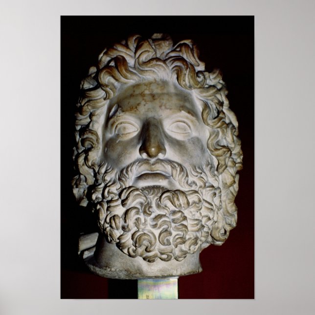 Chef för Zeus Poster (Framsidan)