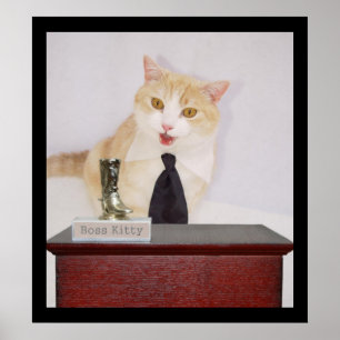 Chef Kattunge Poster