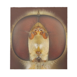 Chef och Ögon i ett Hover Fly Anteckningsblock