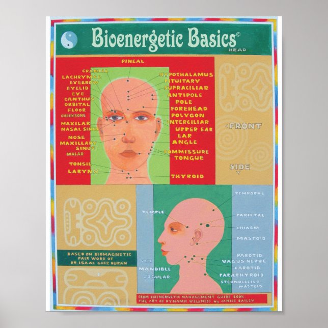 Chef Poster (Framsidan)