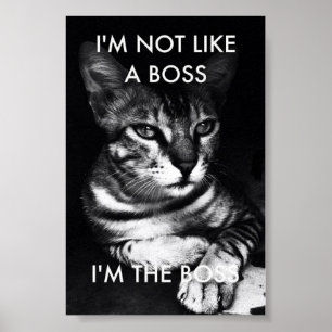Chef Poster