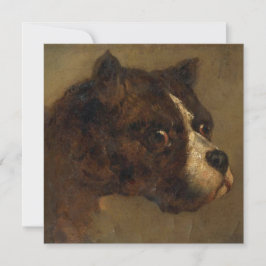 Chefen för en bulldog kort