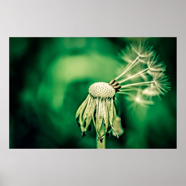 Chefen Poster (Framsidan)