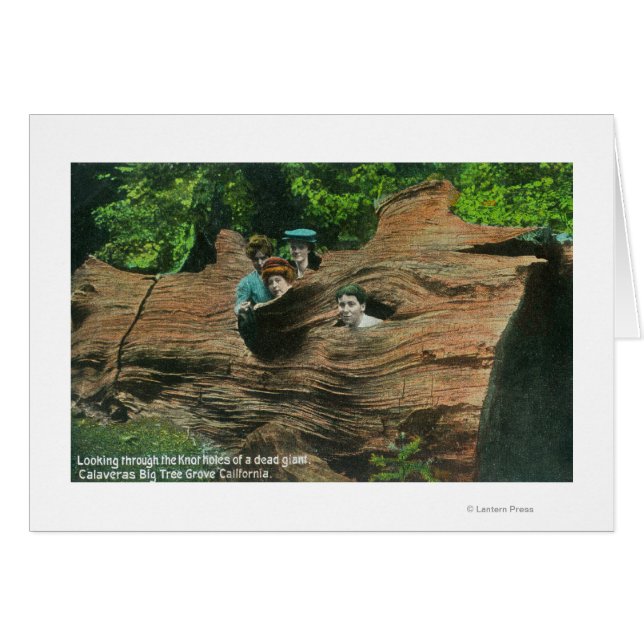 Chefer exponerade i Knot Hål av Giant Redwood Hälsningskort (Framsidan Horizontal)