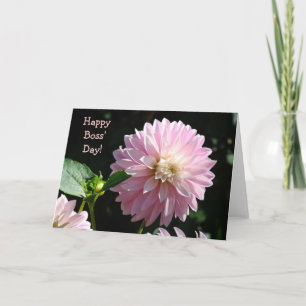 Chefs kort Rosa Dahlia Blommor Glad Chef Dag!