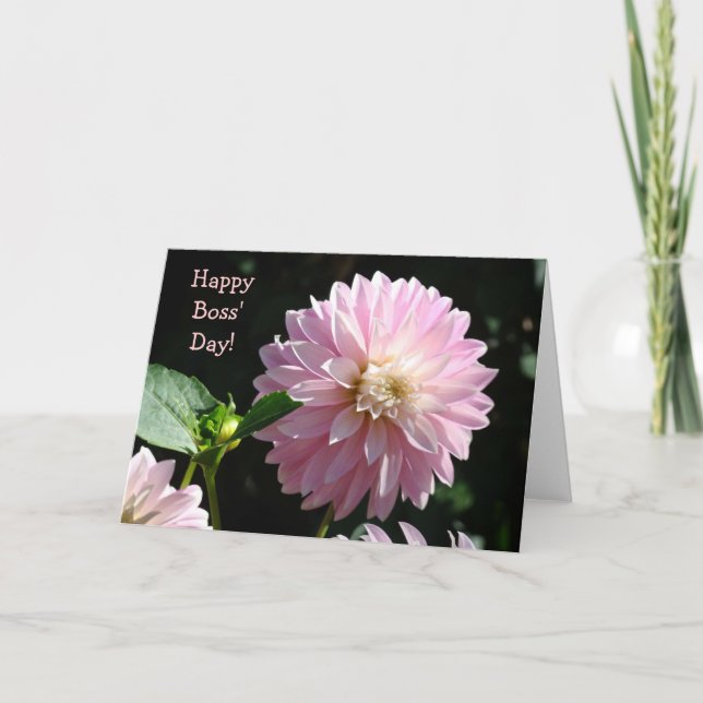 Chefs kort Rosa Dahlia Blommor Glad Chef Dag! (Framsida)