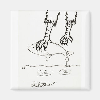 Chelatorer magnet