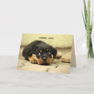 CHEMO-UGG PUPPY-KORT TACK KORT
