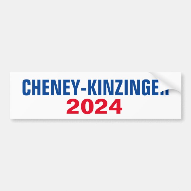 CHENEY KINZINGER 2024 BILDEKAL (Framsidan)