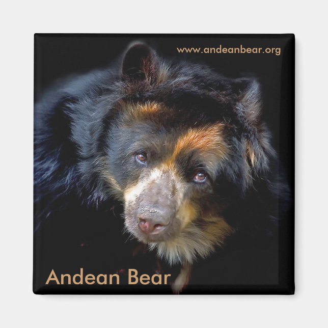 Cheri McEachin Magnet (Framsidan)