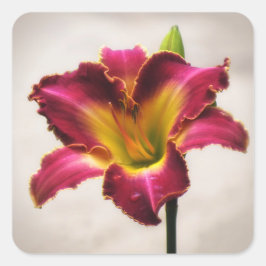 Cherokee Heritage Daylily Fyrkantigt Klistermärke