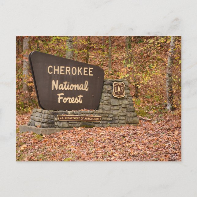 Cherokee National Forest-skylt i fall på Tennessee Vykort (Framsida)