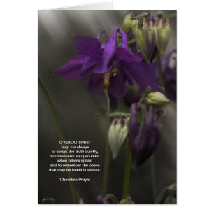 Cherokee Prayer, Columbine in the Sunlight Hälsningskort