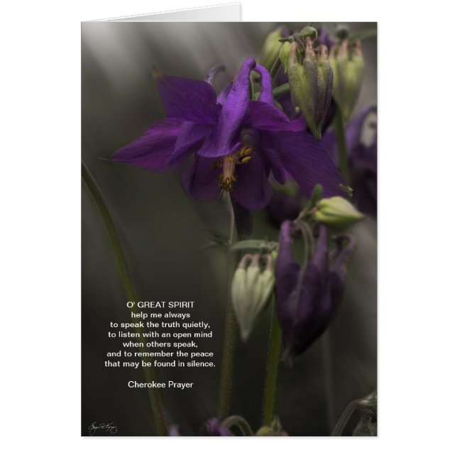 Cherokee Prayer, Columbine in the Sunlight Hälsningskort (Framsidan)
