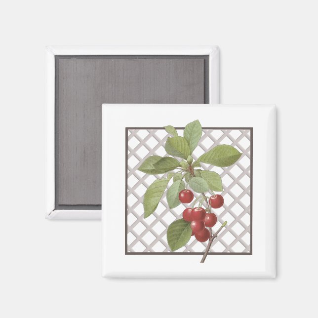 CHERRIES MAGNET (Front/Back)