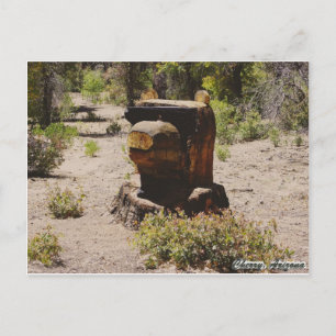 Cherry, Arizona Vykort