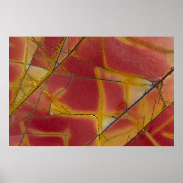 Cherry Bäck Jasper Poster (Framsidan)