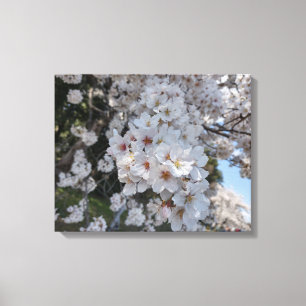 CHERRY-BLOMMAR #2 PÅ CANVAS 20 "x 16"