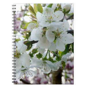Cherry Blommar Anteckningsbok