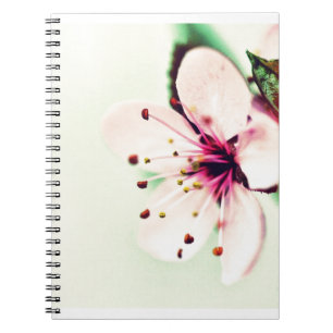 Cherry Blommar Anteckningsbok