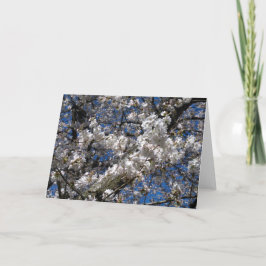 Cherry Blommar Blank notecard Kort