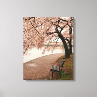 Cherry Blommar Canvas