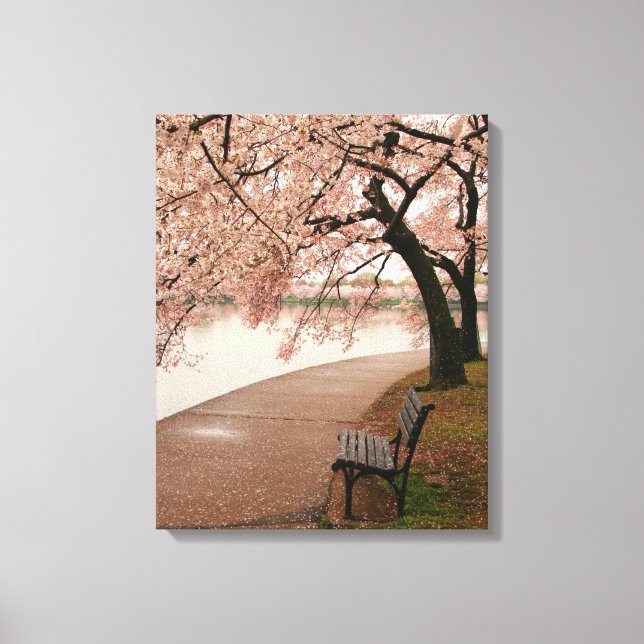 Cherry Blommar Canvas (Framsida)