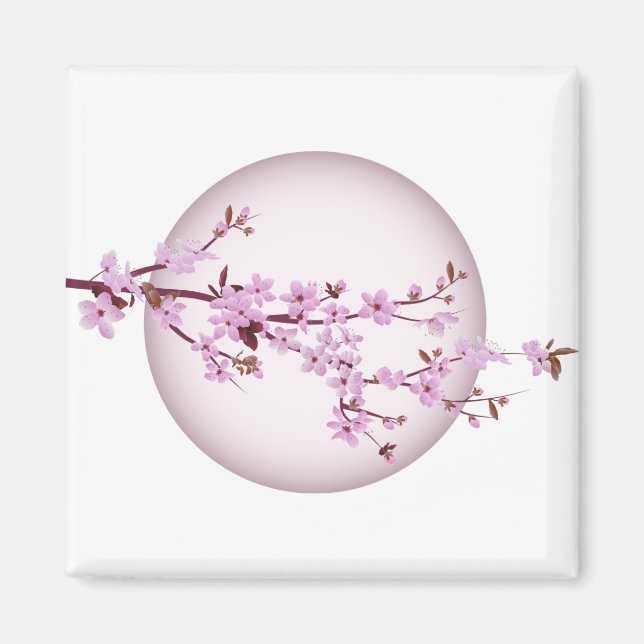 Cherry Blommar Cherry Träd Japanska Sakura Magnet (Framsidan)