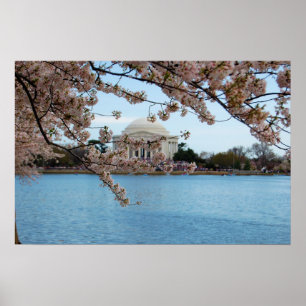 Cherry Blommar Festival & Jefferson Memorial Poster