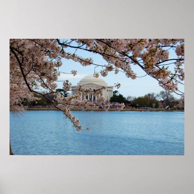 Cherry Blommar Festival & Jefferson Memorial Poster (Framsidan)