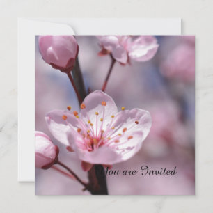 Cherry Blommar Flowers Birthday Inbjudningar