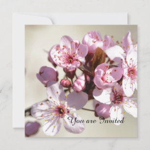 Cherry Blommar Flowers Birthday Inbjudningar