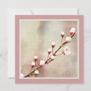 Cherry Blommar Flowers Inbjudningar