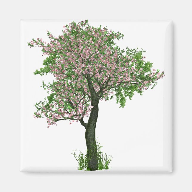 Cherry Blommar Flowers Träd Grenar Löv Magnet (Framsidan)