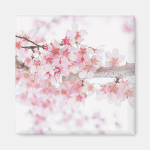 CHERRY BLOMMAR FRIDGE MAGNET