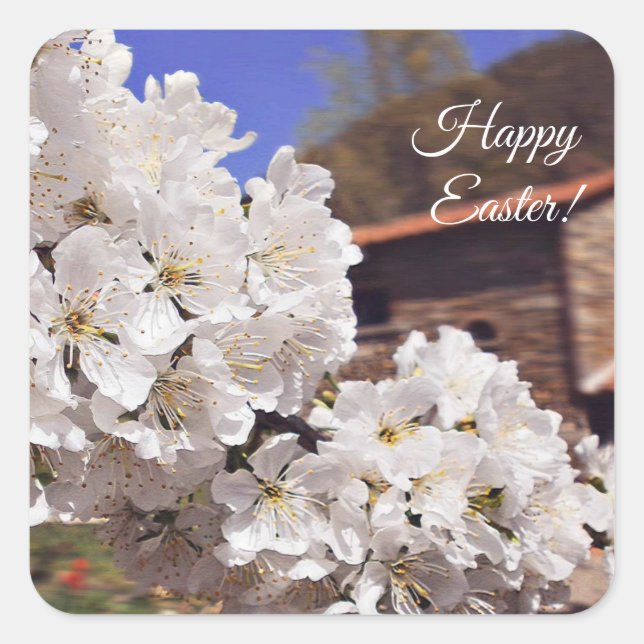 Cherry Blommar. Glad påsk. Fyrkantigt Klistermärke (Framsida)