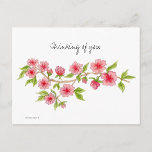 Cherry Blommar Gren vykort