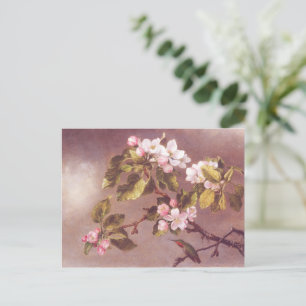 Cherry Blommar Gren Vykort