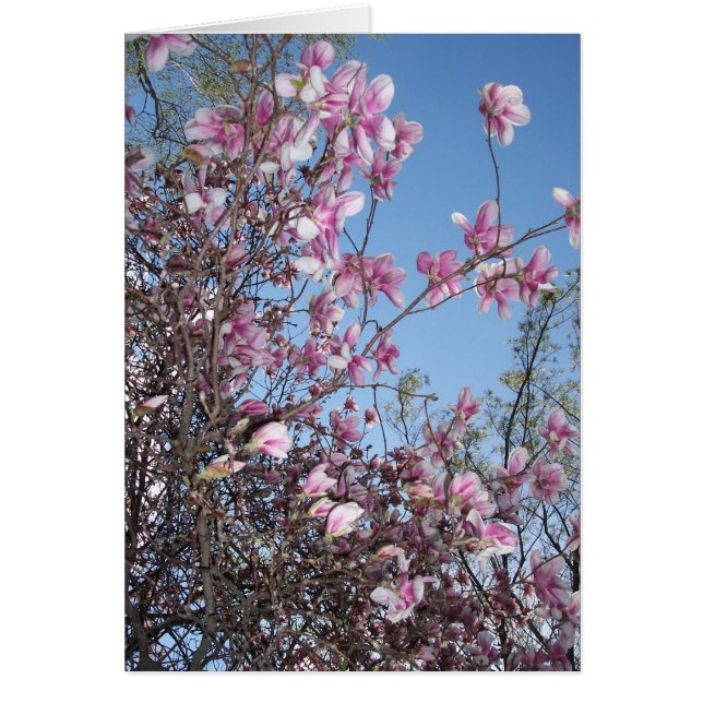 Cherry Blommar Hälsning Hälsningskort (Framsidan)