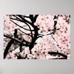 Cherry Blommar har redigerats Poster