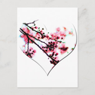 Cherry Blommar Heart Vykort
