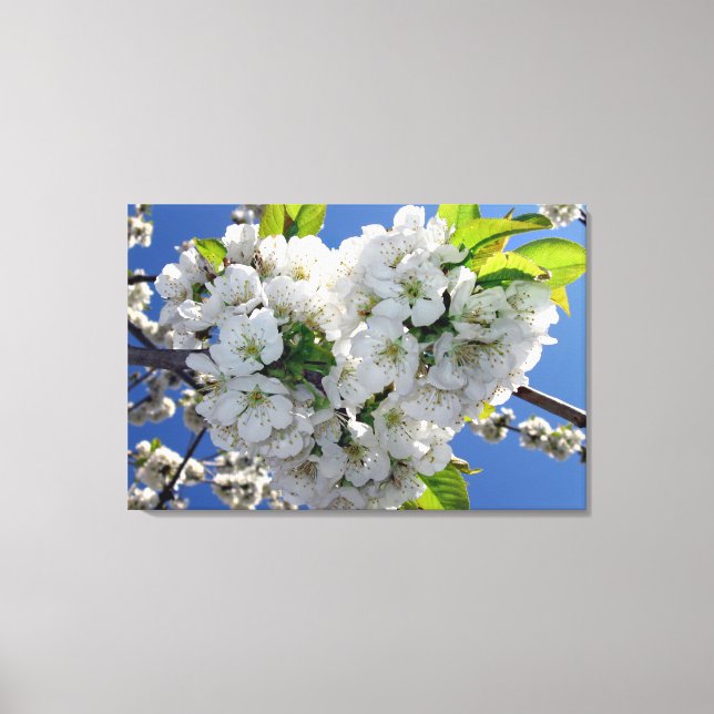 Cherry blommar hjärta canvastryck (Framsida)